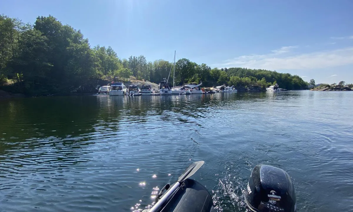 Skolebukta