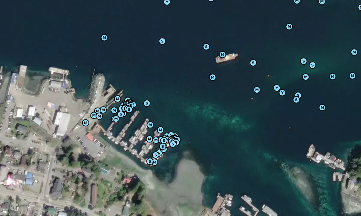 Satelite image of 4th Street Marina