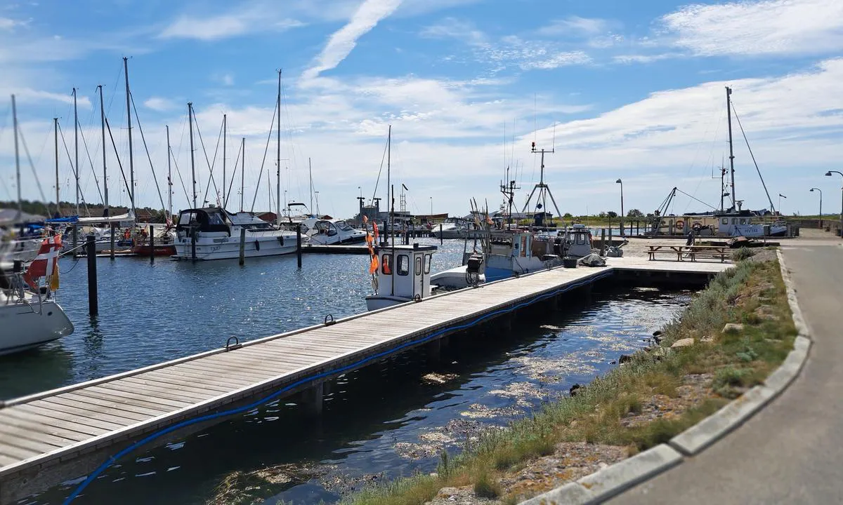 Aarø Havn