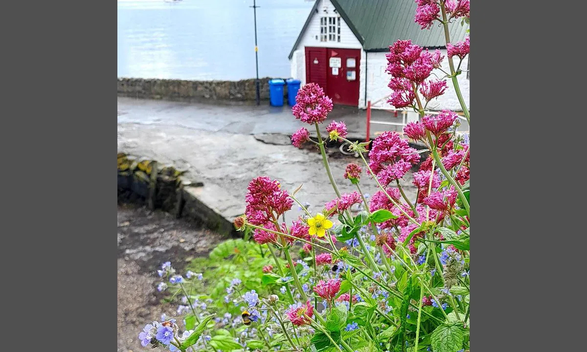 {"base": "en", "no": "Dusjen, gitt av Aberdour Boat Club, er plassert i denne bygningen, n\u00f8kkel gitt av HM ved ankomst", "se": "Duschutrymmet, tillhandah\u00e5llet av Aberdour Boat Club, \u00e4r bel\u00e4get i denna byggnad, nyckel efter tillhandah\u00e5llande av HM vid ankomst", "en": "The shower, courtesy of Aberdour Boat Club, is located in this building, key provided by HM on arrival", "da": "Bruseren, stillet til r\u00e5dighed af Aberdour Boat Club, er placeret i denne bygning, n\u00f8gle udleveres af havnemesteren ved ankomst"}