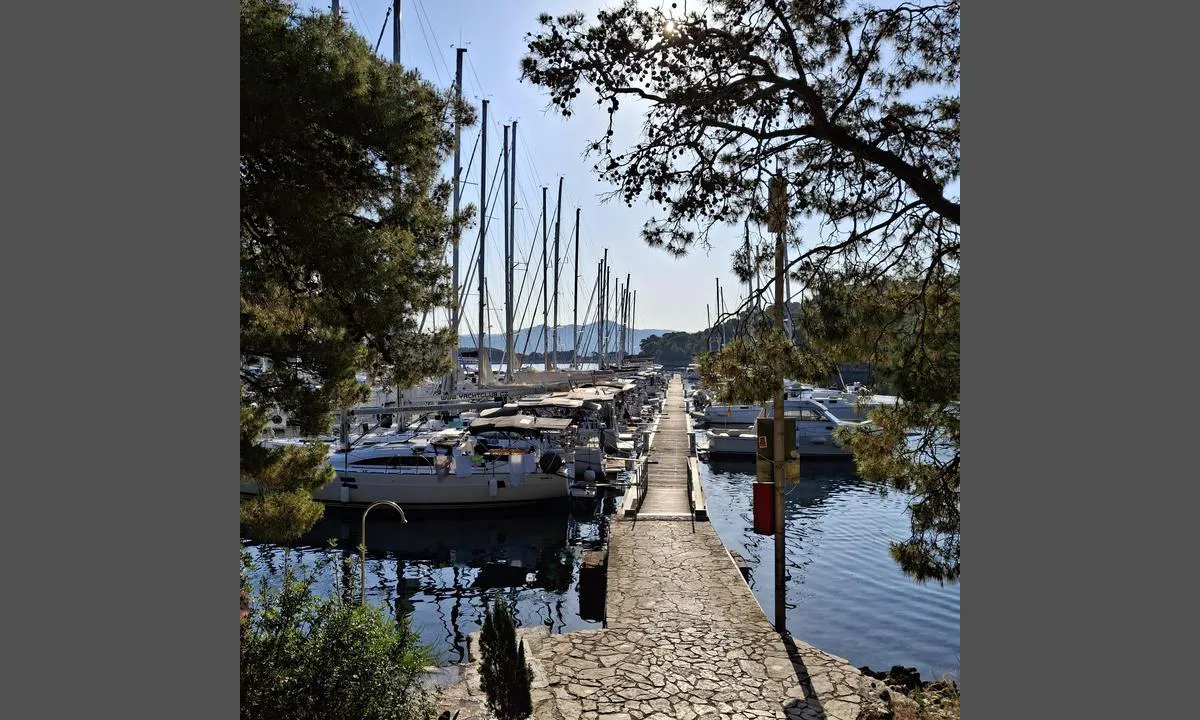 ACI Marina Palmizana: Oversikt