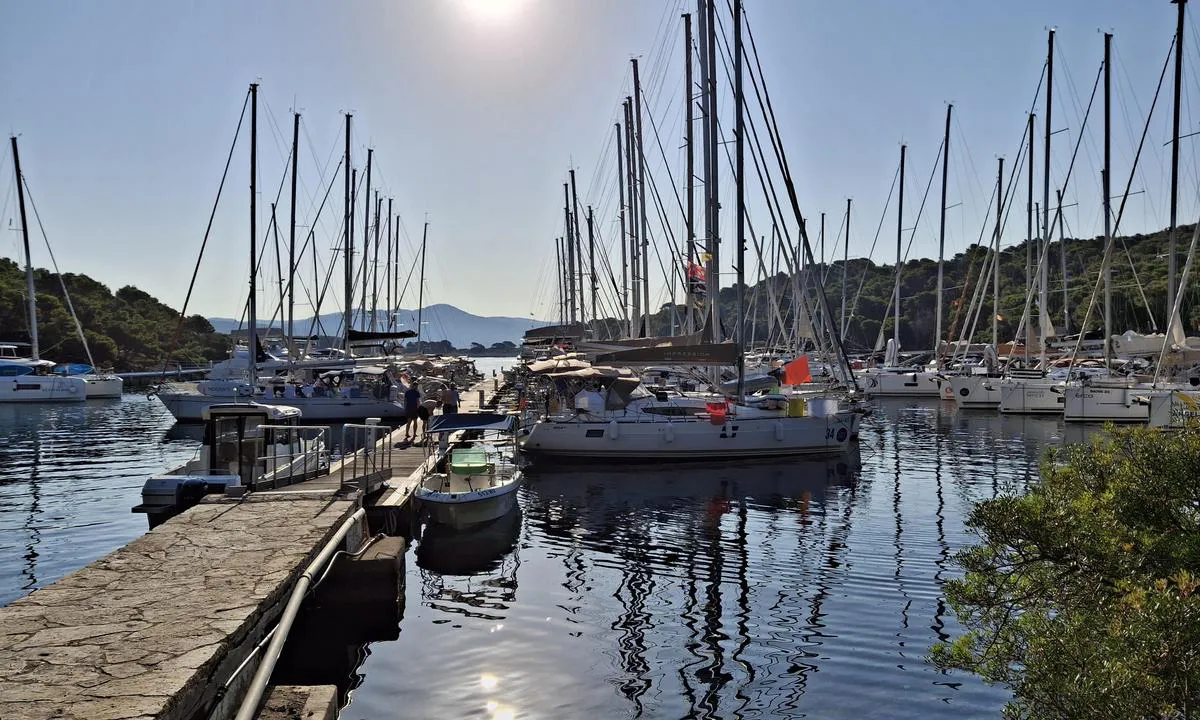 ACI Marina Palmizana: {"base": "no", "no": "Oversikt brygge 2", "se": "\u00d6versikt brygga 2", "en": "Overview of dock 2", "da": "Oversigt bro 2", "fr": "Vue d'ensemble du quai 2", "de": "\u00dcbersicht Steg 2", "es": "Visi\u00f3n general del muelle 2", "it": "Vista d'insieme del pontile 2", "pt": "Vis\u00e3o geral do cais 2", "nl": "Overzicht steiger 2", "pl": "Przegl\u0105d nabrze\u017ca 2", "uk": "\u041e\u0433\u043b\u044f\u0434 \u043f\u0440\u0438\u0441\u0442\u0430\u043d\u0456 2", "ro": "Privire de ansamblu ponton 2", "tr": "\u0130skele 2 Genel G\u00f6r\u00fcn\u00fcm", "el": "\u0395\u03c0\u03b9\u03c3\u03ba\u03cc\u03c0\u03b7\u03c3\u03b7 \u03c0\u03c1\u03bf\u03b2\u03bb\u03ae\u03c4\u03b1\u03c2 2", "cs": "P\u0159ehled mola 2", "hu": "Kik\u00f6t\u0151 2 \u00e1ttekint\u00e9se", "fi": "Yleiskatsaus laituri 2", "bg": "\u041f\u0440\u0435\u0433\u043b\u0435\u0434 \u043d\u0430 \u043a\u0435\u0439 2", "sr": "\u041f\u0440\u0435\u0433\u043b\u0435\u0434 \u043f\u0438\u0441\u0442\u0435 2", "et": "Sildumise \u00fclevaade 2", "lv": "P\u0101rskats par piest\u0101tni 2", "lt": "Ap\u017evalga prieplauka 2"}
