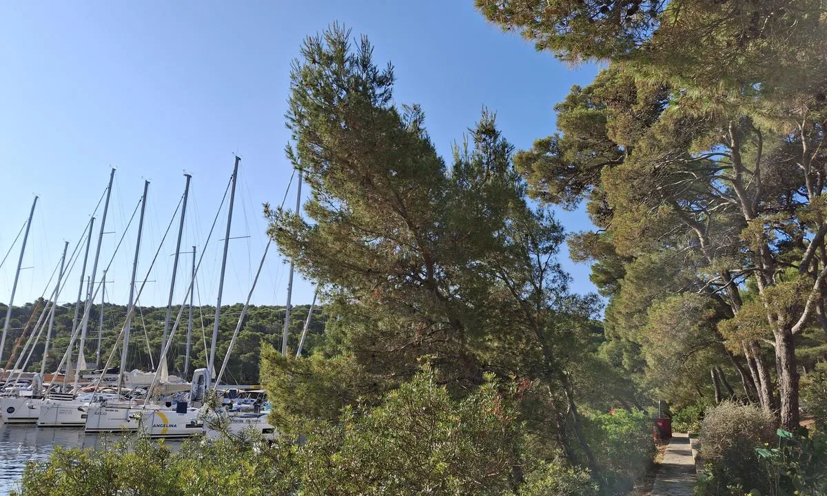 ACI Marina Palmizana: {"base": "no", "no": "Fint omr\u00e5de p\u00e5 land", "se": "Fint omr\u00e5de p\u00e5 land", "en": "Nice area onshore", "da": "Dejligt omr\u00e5de p\u00e5 land", "fr": "Belle zone \u00e0 terre", "de": "Sch\u00f6nes Gebiet an Land", "es": "Hermosa \u00e1rea en tierra", "it": "Bella area a terra", "pt": "Bela \u00e1rea em terra", "nl": "Mooi gebied aan land", "pl": "\u0141adny obszar na l\u0105dzie", "uk": "\u0413\u0430\u0440\u043d\u0438\u0439 \u0440\u0430\u0439\u043e\u043d \u043d\u0430 \u0441\u0443\u0448\u0456", "ro": "Zon\u0103 frumoas\u0103 pe uscat", "tr": "Karada g\u00fczel bir alan", "el": "\u03a9\u03c1\u03b1\u03af\u03b1 \u03c0\u03b5\u03c1\u03b9\u03bf\u03c7\u03ae \u03c3\u03c4\u03b7\u03bd \u03be\u03b7\u03c1\u03ac", "cs": "P\u011bkn\u00e1 oblast na sou\u0161i", "hu": "Sz\u00e9p ter\u00fclet a sz\u00e1razf\u00f6ld\u00f6n", "fi": "Kaunis alue maissa", "bg": "\u0425\u0443\u0431\u0430\u0432\u0430 \u0437\u043e\u043d\u0430 \u043d\u0430 \u0441\u0443\u0448\u0430\u0442\u0430", "sr": "\u041b\u0435\u043f\u043e \u043f\u043e\u0434\u0440\u0443\u0447\u0458\u0435 \u043d\u0430 \u043a\u043e\u043f\u043d\u0443", "et": "Ilus ala maal", "lv": "Jauka teritorija uz sauszemes", "lt": "Gra\u017ei teritorija krante"}