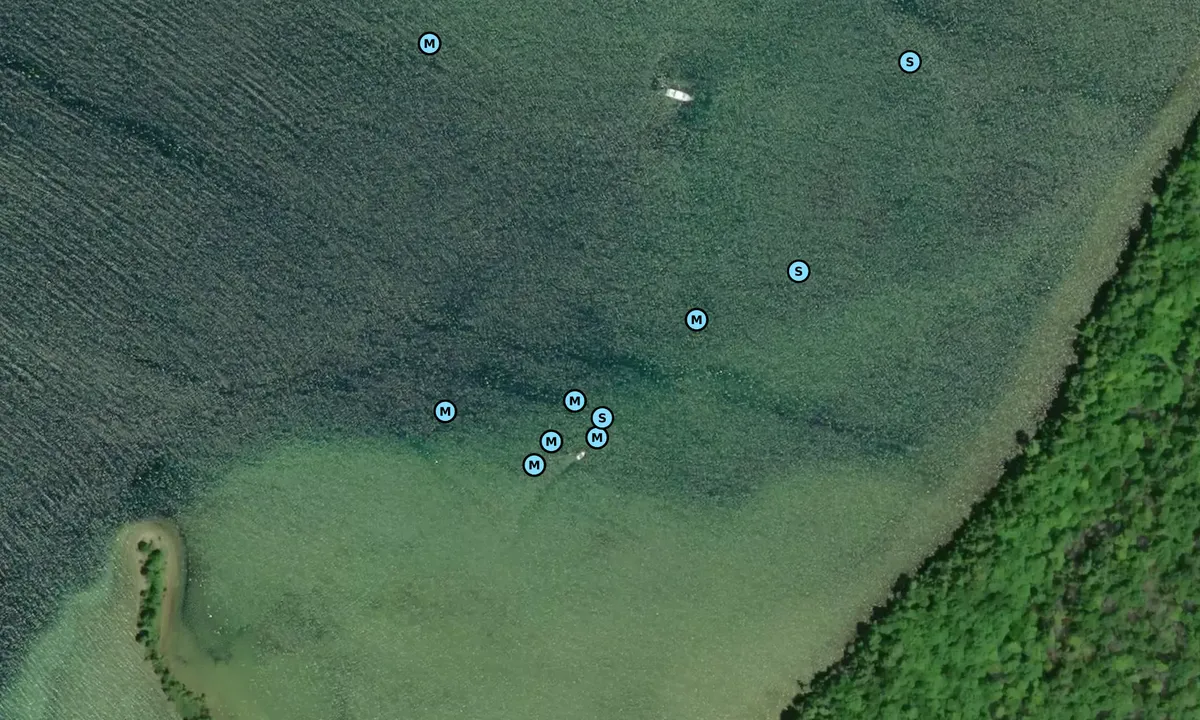 Satelite image of Agate Island