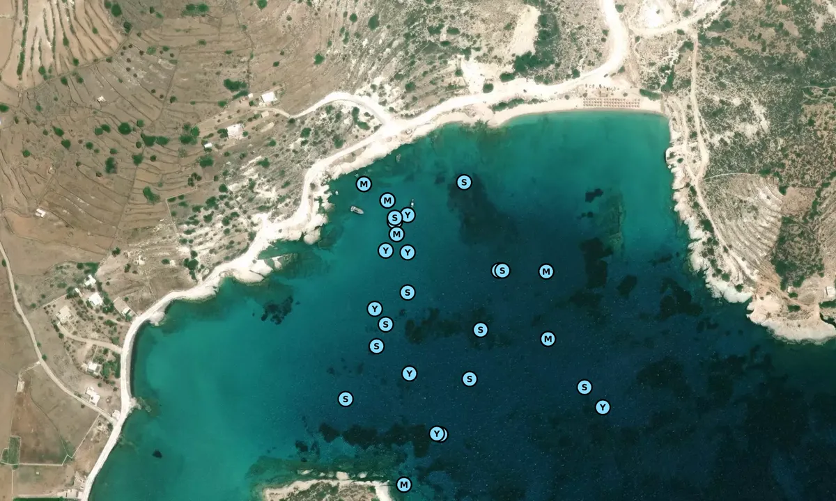 Satelite image of Agios Georgios Bay