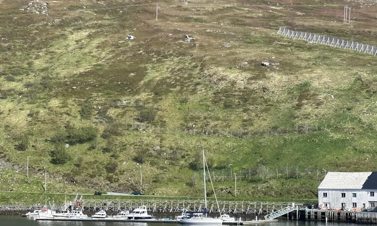 Akkarfjorden: {"base": "se", "no": "Fin plass med bra flytebrygge og gode turmuligheter", "se": "Fin plats med bra ponton brygga oc h goda tur m\u00f6jighetet", "en": "Nice place with good pontoon dock and good excursion possibilities", "da": "Fin plads med god pontonbro og gode turoplevelsesmuligheder", "fr": "Bel endroit avec un bon ponton et de bonnes possibilit\u00e9s de tourisme", "de": "Sch\u00f6ner Ort mit gutem Pontonsteg und guten Ausflugsm\u00f6glichkeiten", "es": "Buen lugar con buen muelle de pontones y buenas posibilidades de excursiones", "it": "Bel posto con buon pontile galleggiante e buone possibilit\u00e0 di gite", "pt": "Bom lugar com um bom cais de pont\u00e3o e boas possibilidades de excurs\u00f5es", "nl": "Goede plek met een goede pontonsteiger en goede mogelijkheden voor uitstapjes", "pl": "\u015awietne miejsce z dobrym p\u0142ywaj\u0105cym pomostem i dobrymi mo\u017cliwo\u015bciami wycieczkowymi", "uk": "\u0413\u0430\u0440\u043d\u0435 \u043c\u0456\u0441\u0446\u0435 \u0437 \u0433\u0430\u0440\u043d\u0438\u043c \u043f\u043e\u043d\u0442\u043e\u043d\u043d\u0438\u043c \u043f\u0440\u0438\u0447\u0430\u043b\u043e\u043c \u0442\u0430 \u0445\u043e\u0440\u043e\u0448\u0438\u043c\u0438 \u043c\u043e\u0436\u043b\u0438\u0432\u043e\u0441\u0442\u044f\u043c\u0438 \u0434\u043b\u044f \u0435\u043a\u0441\u043a\u0443\u0440\u0441\u0456\u0439", "ro": "Loc frumos cu un ponton bun \u0219i oportunit\u0103\u021bi bune pentru excursii", "tr": "G\u00fczel bir yer, iyi bir ponton iskele ve iyi turlar i\u00e7in olanaklarla", "el": "\u039c\u03b9\u03b1 \u03ba\u03b1\u03bb\u03ae \u03c4\u03bf\u03c0\u03bf\u03b8\u03b5\u03c3\u03af\u03b1 \u03bc\u03b5 \u03ba\u03b1\u03bb\u03ae \u03b1\u03c0\u03bf\u03b2\u03ac\u03b8\u03c1\u03b1 \u03c0\u03cc\u03bd\u03c4\u03c9\u03bd \u03ba\u03b1\u03b9 \u03ba\u03b1\u03bb\u03ad\u03c2 \u03b4\u03c5\u03bd\u03b1\u03c4\u03cc\u03c4\u03b7\u03c4\u03b5\u03c2 \u03b5\u03ba\u03b4\u03c1\u03bf\u03bc\u03ce\u03bd", "cs": "P\u011bkn\u00e9 m\u00edsto s dobr\u00fdm pontonov\u00fdm molem a dobr\u00fdmi mo\u017enostmi v\u00fdlet\u016f", "hu": "Sz\u00e9p hely, j\u00f3 pontonh\u00edddal \u00e9s kiv\u00e1l\u00f3 kir\u00e1ndul\u00e1si lehet\u0151s\u00e9gekkel", "fi": "Mukava paikka, jossa hyv\u00e4 ponttonilaituri ja hyv\u00e4t retkeilymahdollisuudet", "bg": "\u0414\u043e\u0431\u0440\u043e \u043c\u044f\u0441\u0442\u043e \u0441 \u0434\u043e\u0431\u0440\u043e \u043f\u043e\u043d\u0442\u043e\u043d\u043d\u043e \u043f\u0440\u0438\u0441\u0442\u0430\u043d\u0438\u0449\u0435 \u0438 \u0434\u043e\u0431\u0440\u0438 \u0432\u044a\u0437\u043c\u043e\u0436\u043d\u043e\u0441\u0442\u0438 \u0437\u0430 \u0435\u043a\u0441\u043a\u0443\u0440\u0437\u0438\u0438", "sr": "\u041b\u0435\u043f\u043e \u043c\u0435\u0441\u0442\u043e \u0441\u0430 \u0434\u043e\u0431\u0440\u0438\u043c \u043f\u043e\u043d\u0442\u043e\u043d\u0441\u043a\u0438\u043c \u043f\u0440\u0438\u0441\u0442\u0430\u043d\u043e\u043c \u0438 \u0434\u043e\u0431\u0440\u0438\u043c \u043c\u043e\u0433\u0443\u045b\u043d\u043e\u0441\u0442\u0438\u043c\u0430 \u0437\u0430 \u043f\u0443\u0442\u043e\u0432\u0430\u045a\u0435.", "et": "Ilus koht heade pontoonkai ja heade reisiv\u00f5imalustega", "lv": "Laba vieta ar labu pontona piest\u0101tni un lab\u0101m ekskursiju iesp\u0113j\u0101m", "lt": "Gra\u017ei vieta su geru pontoniniu tiltu ir geromis turizmo galimyb\u0117mis"}