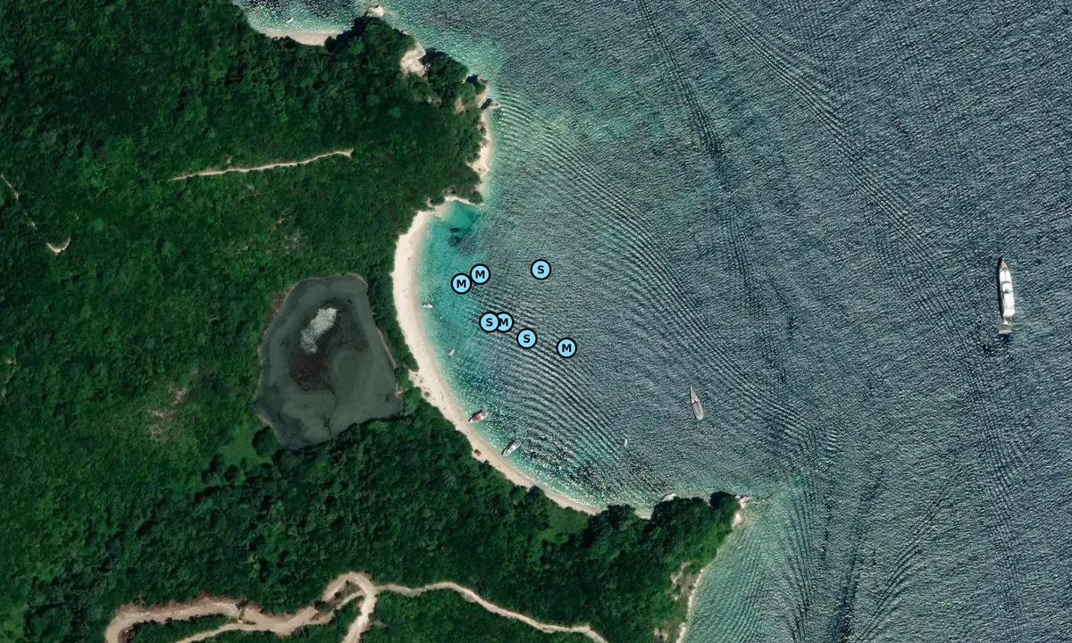 Satelite image of Akoli Beach