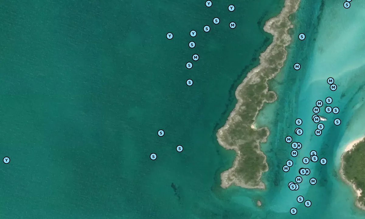 Satelite image of Alans Cay