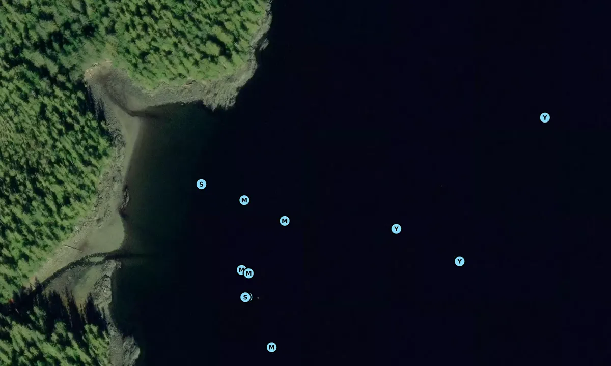 Satelite image of Alava Bay