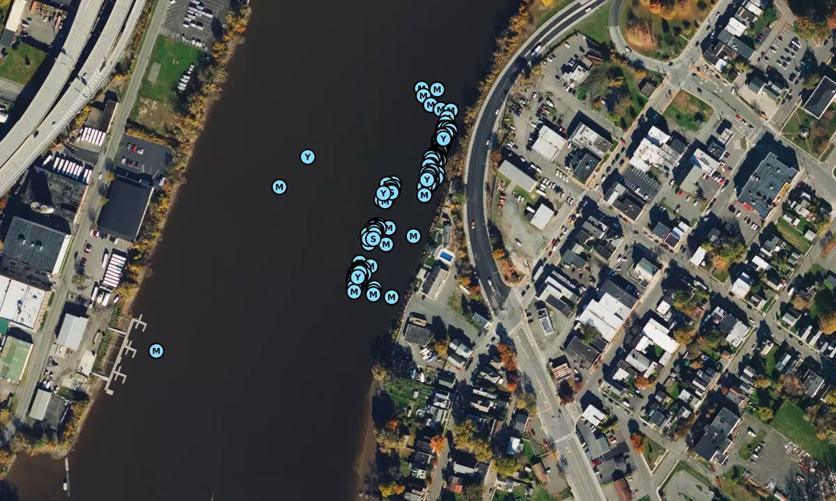 Satelite image of Albany Yacht Club