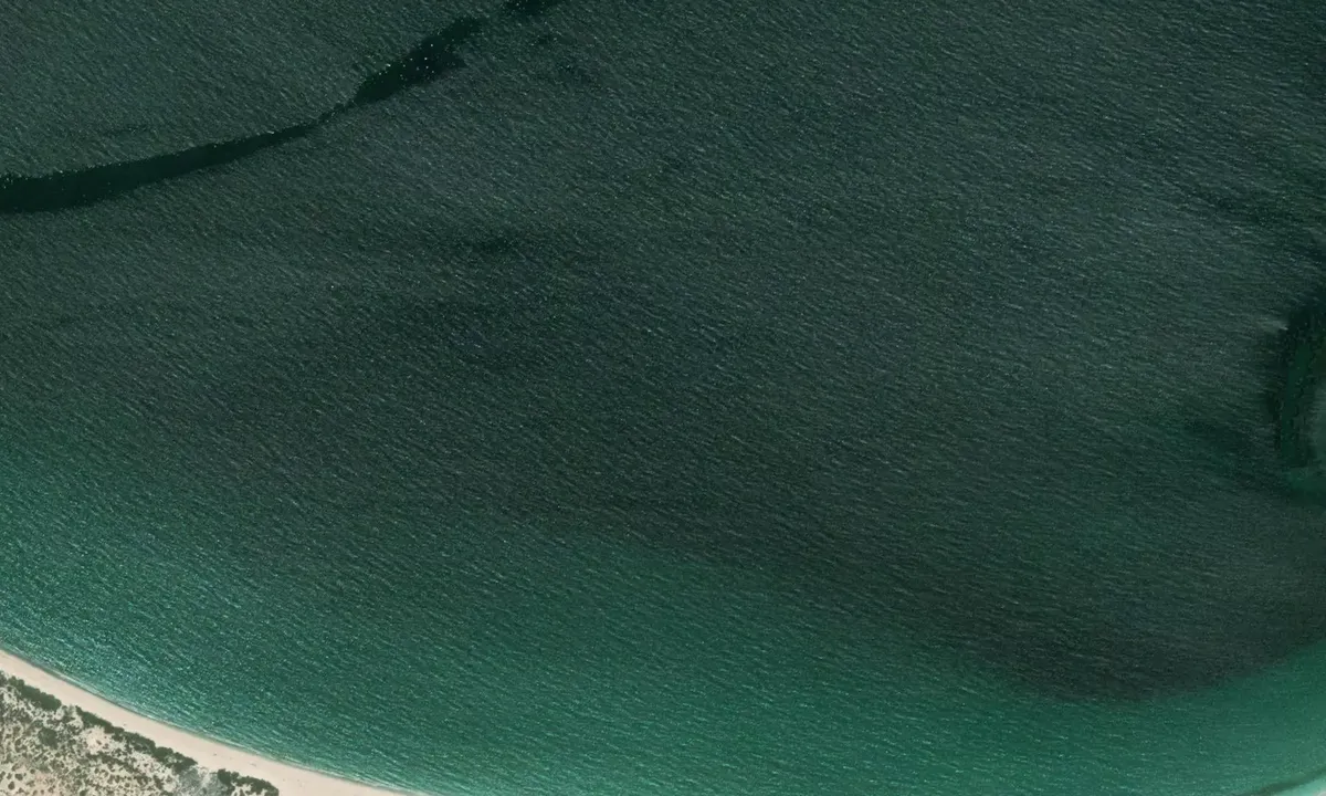 Satelite image of Alcatraz Cove