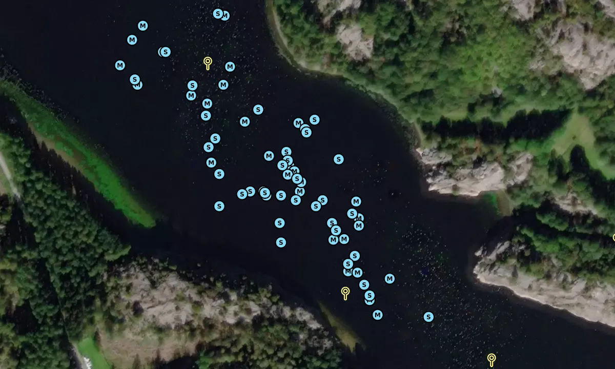 Satelite image of Alevikkilen - Lammön