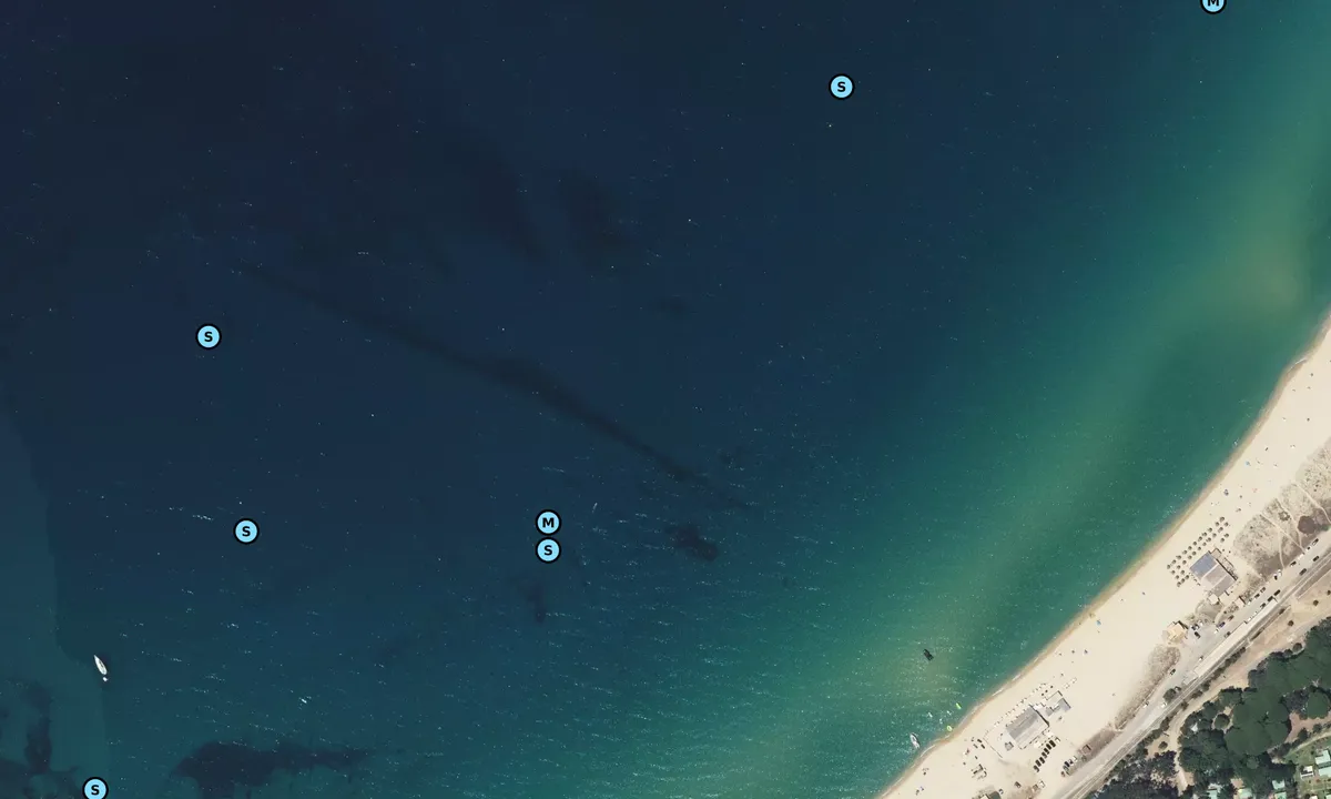 Satelite image of Algajola 2020