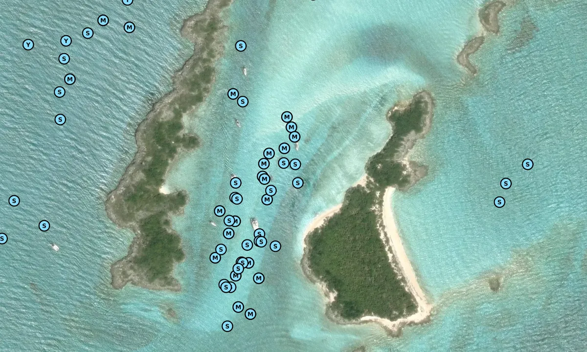Satelite image of Allan and Leaf Cay