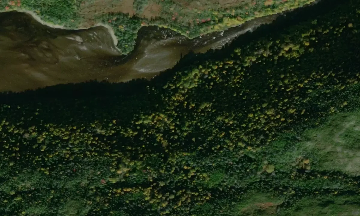 Satelite image of Allan Cove
