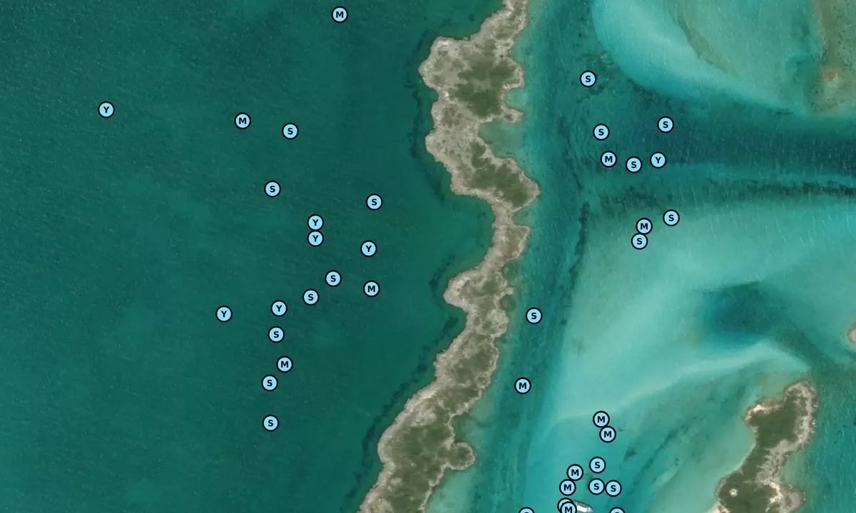 Satelite image of Allan's Cay West