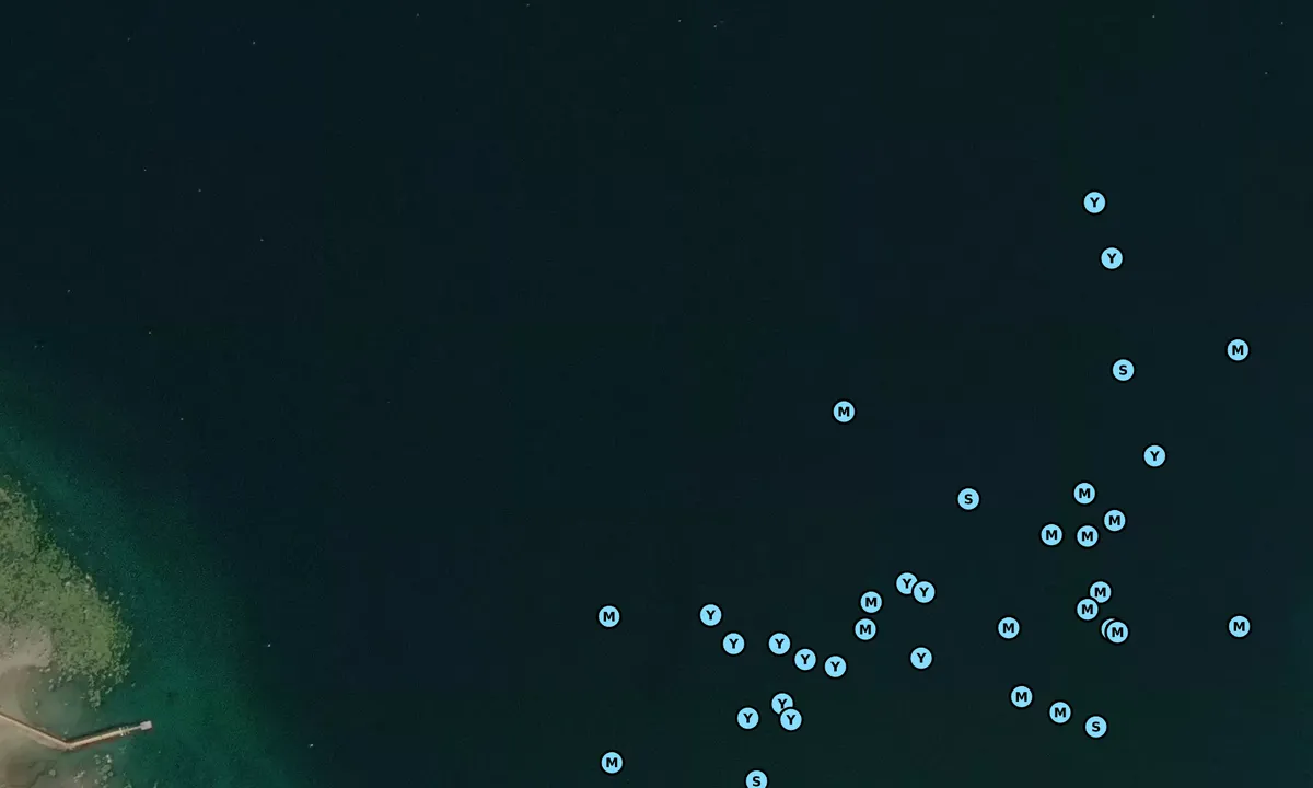 Satelite image of Allen Cove