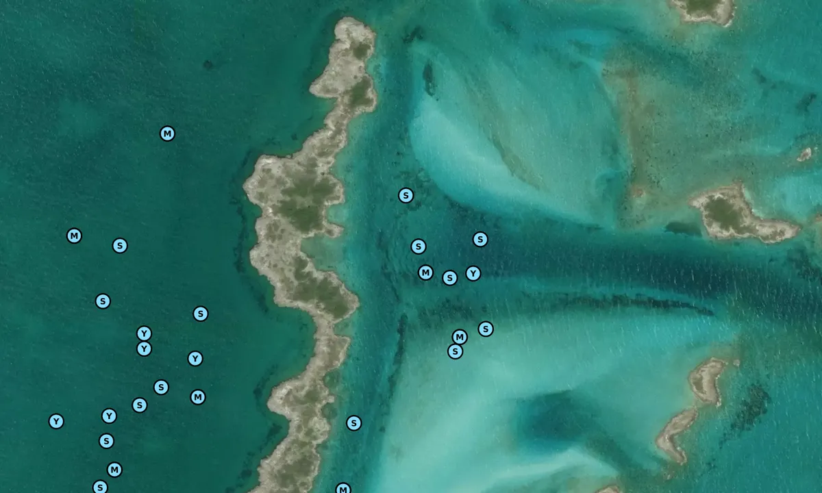 Satelite image of Allens Cay East