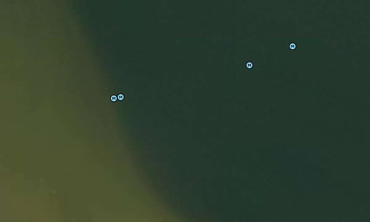 Satelite image of Alligator Point 1