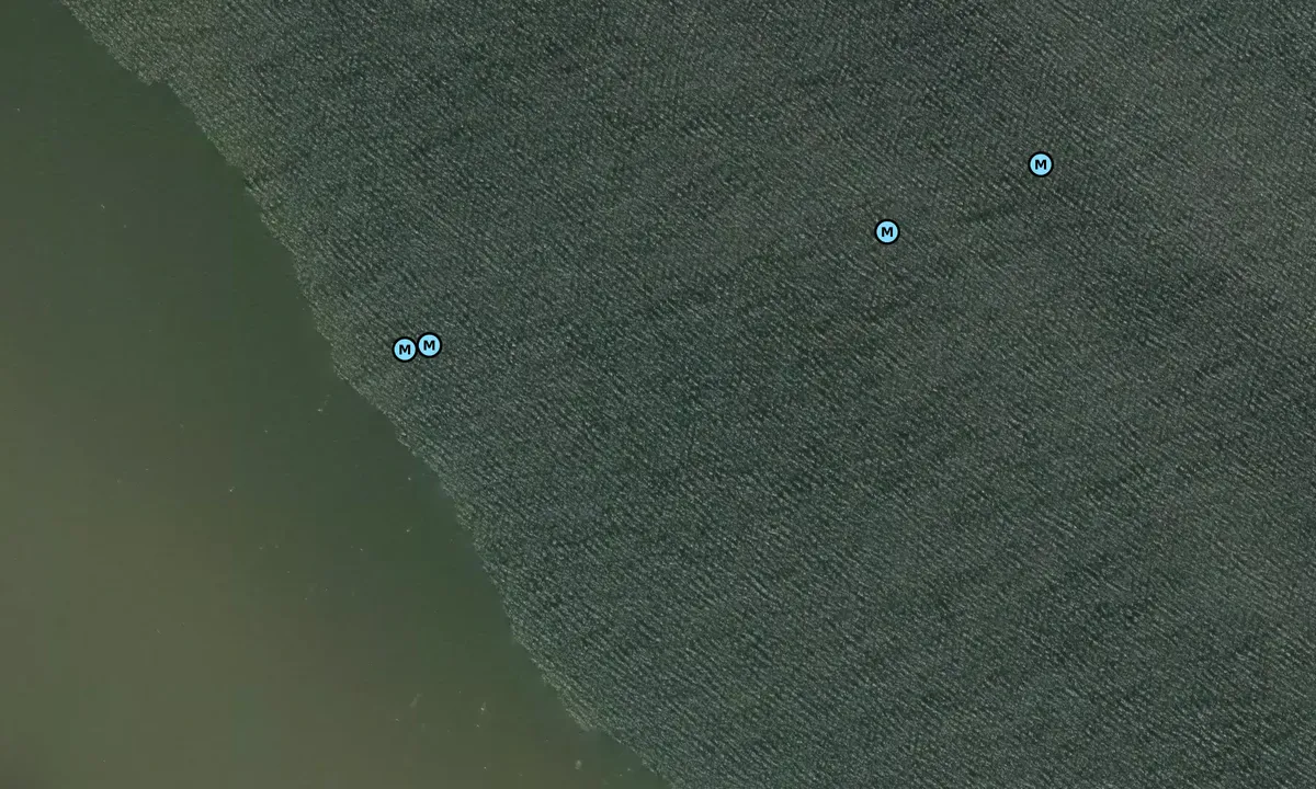 Satelite image of Alligator Point 1
