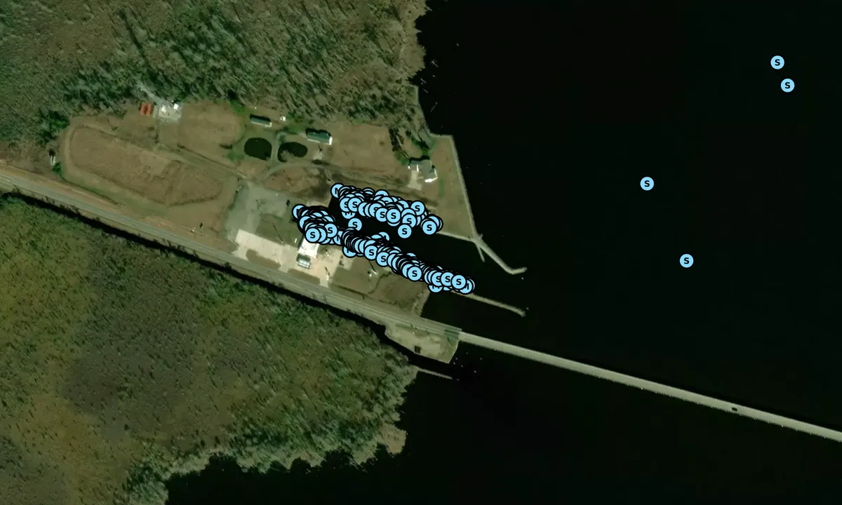 Satelite image of Alligator River Marina