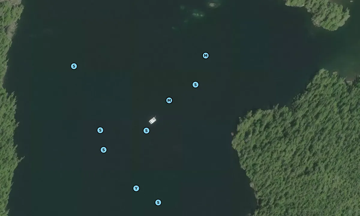 Satelite image of Allison Harbor