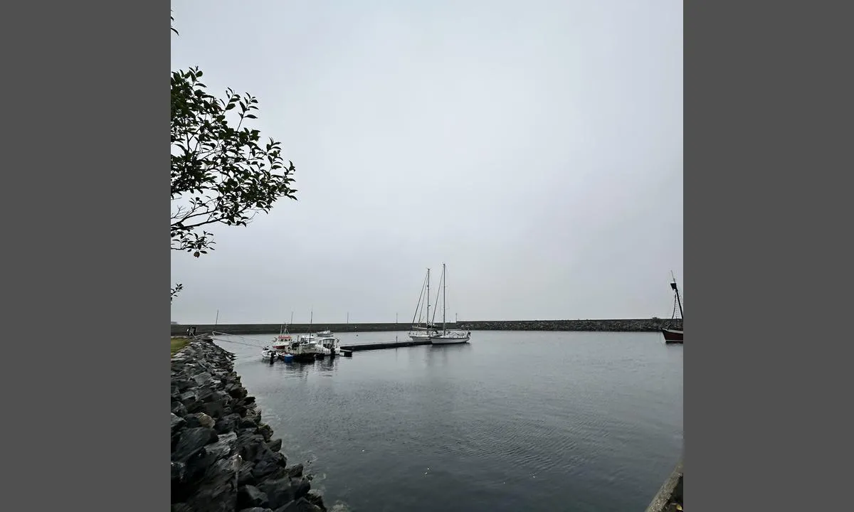 Alnes