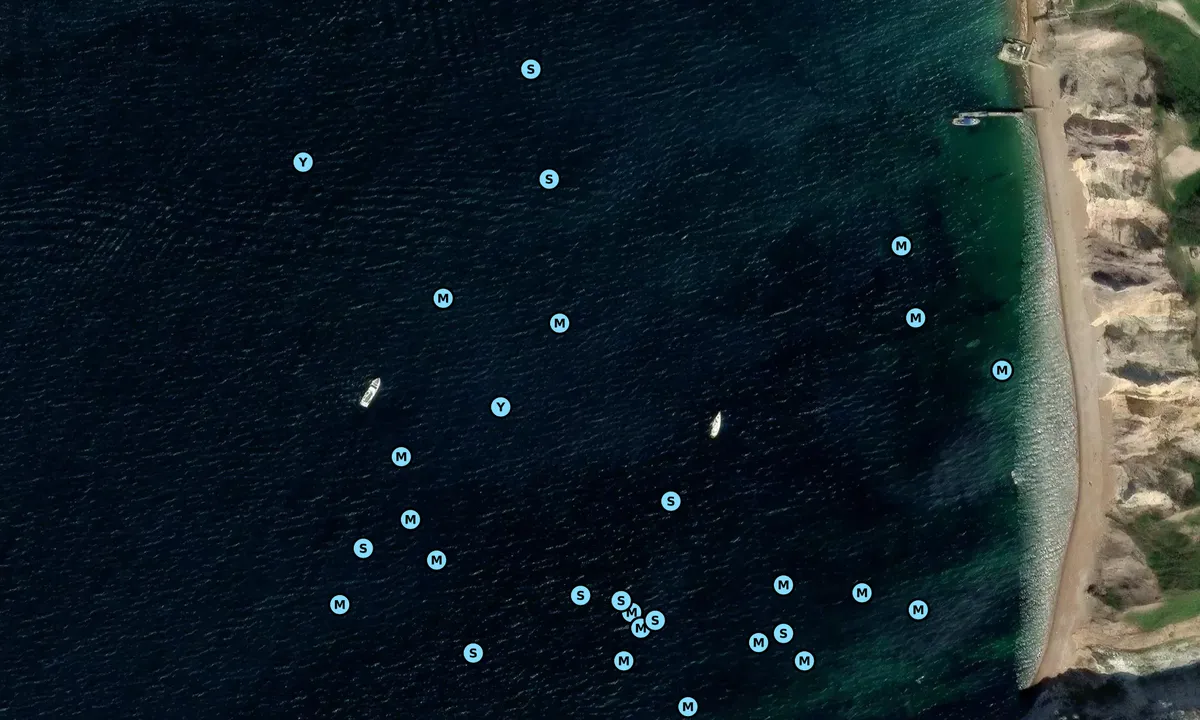 Satelite image of Alum Bays
