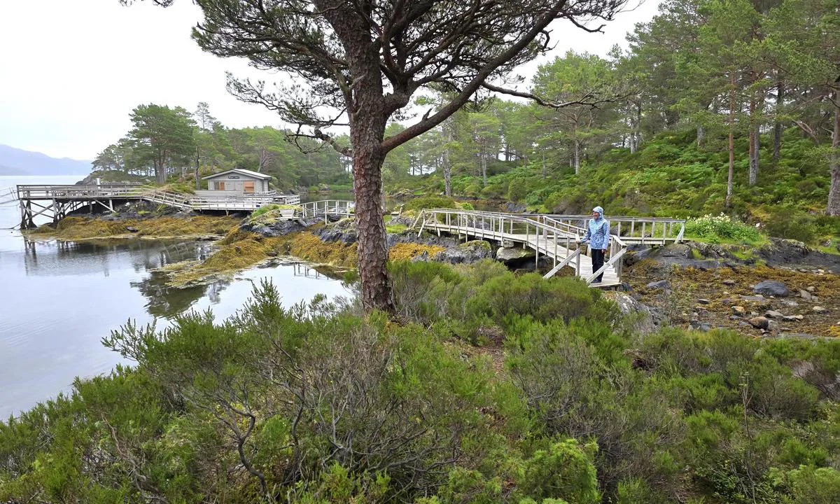 Ålvora