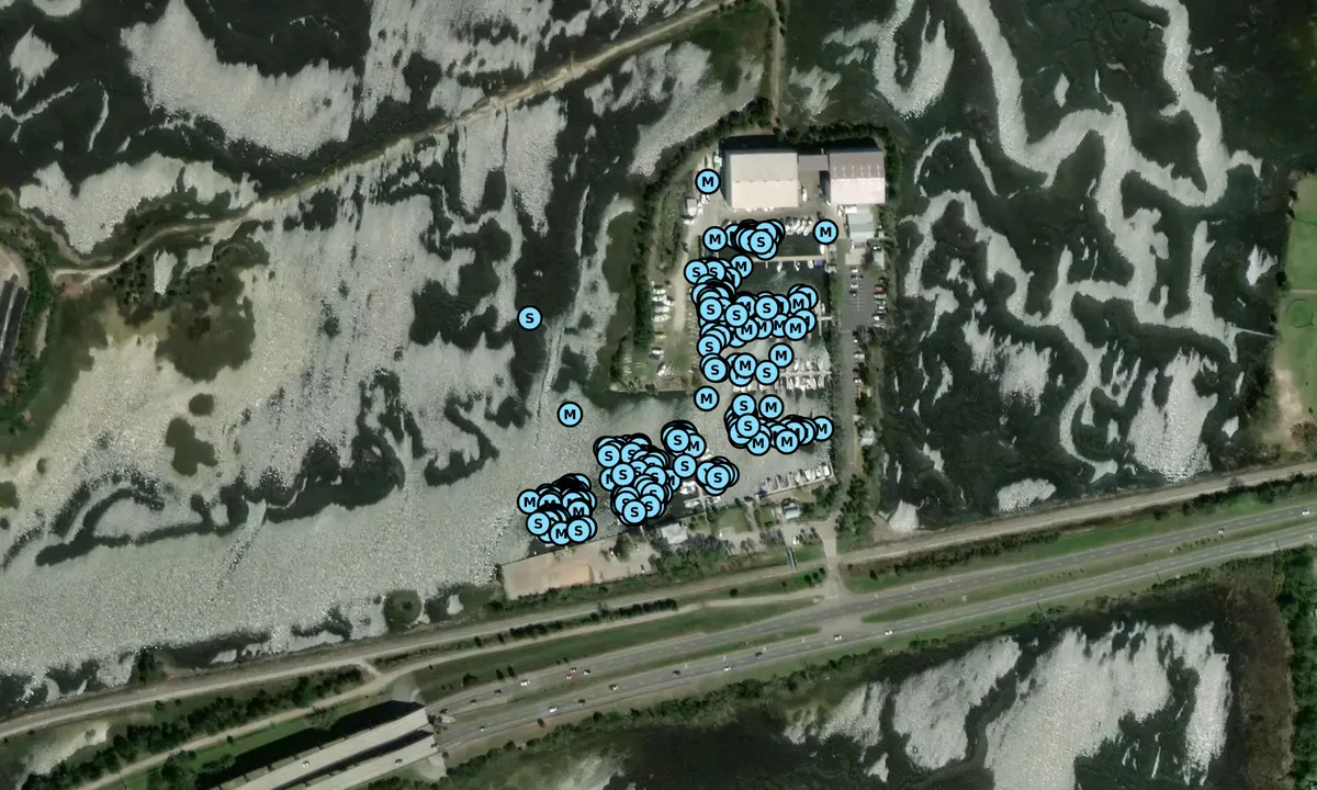 Satelite image of Amelia Island Marina - FERNANDINA