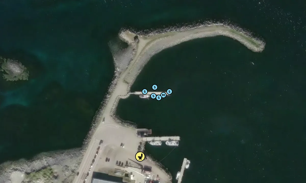 Satelite image of Andenes Østre Havn