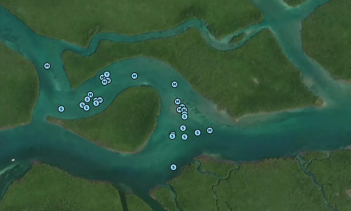 Satelite image of Angelfish Creek