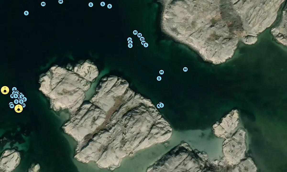 Satelite image of Ängholmen - Gåsö