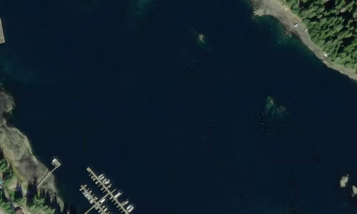 Flyfoto av Angoon Harbor 1