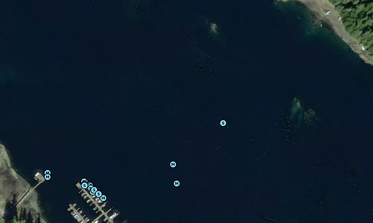 Satelite image of Angoon Harbor 1