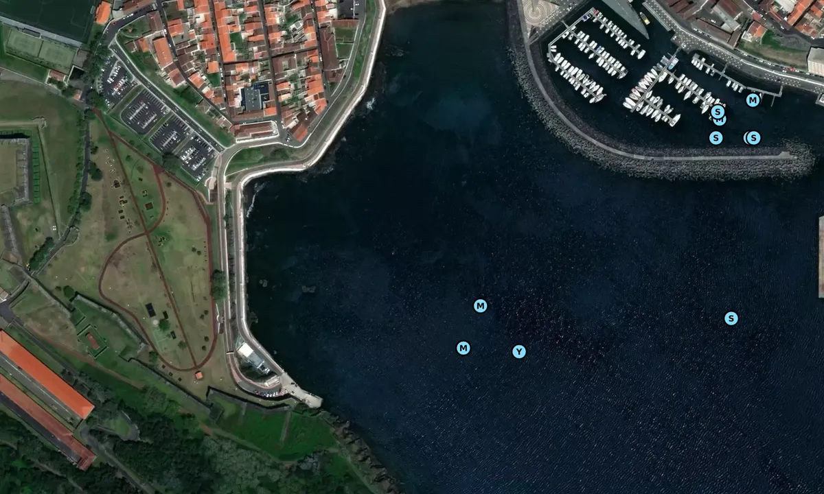 Satelite image of Angra do Heroismo Terceria