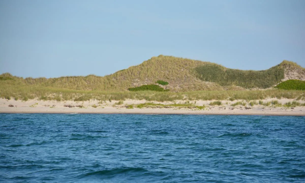 Anholt Havn - Pakkhusbugten