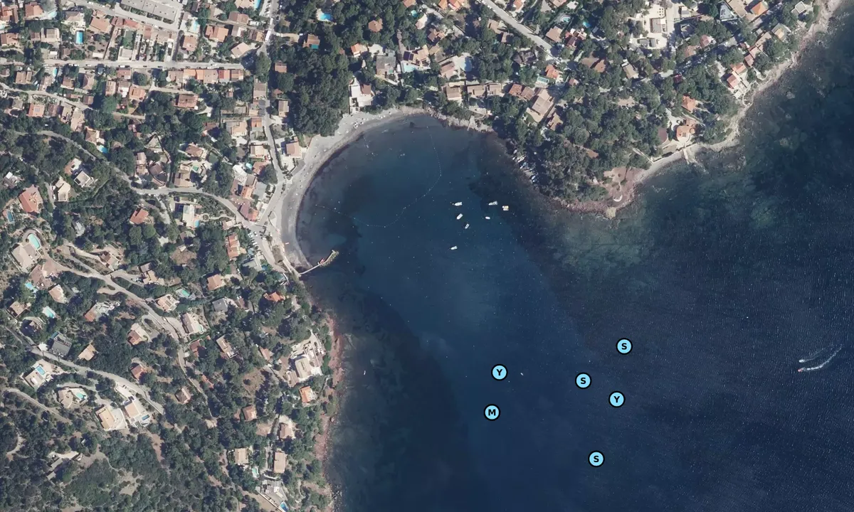 Satelite image of Anse de Fabrégas