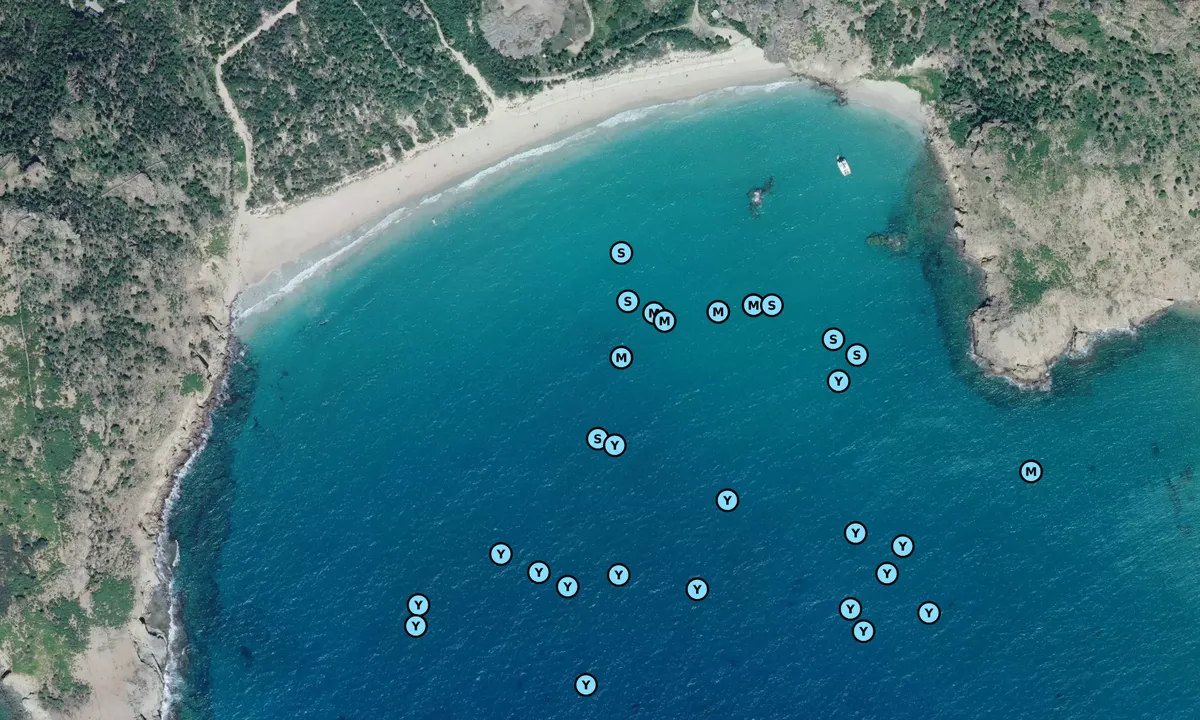 Satelite image of Anse de Grande Saline