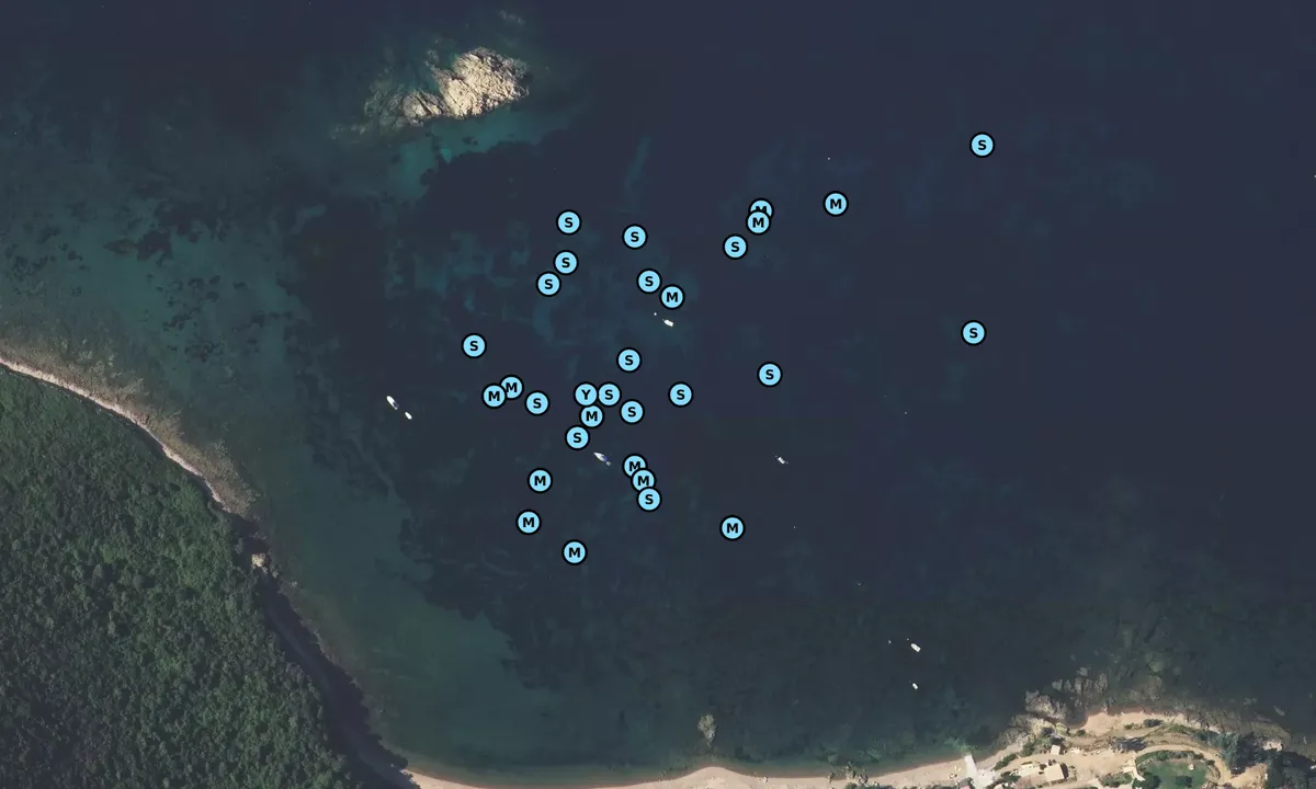 Satelite image of Anse de la Figuera