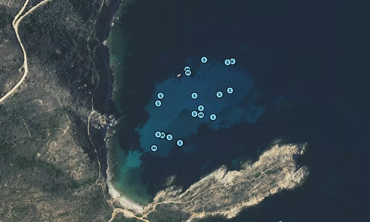 Satelite image of Anse de l'Oscelluccia
