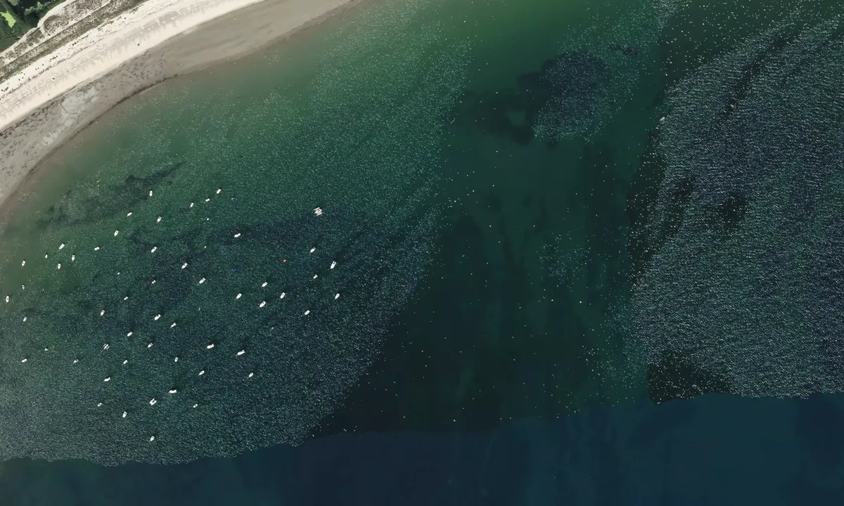 Flyfoto av Anse de Suscinio