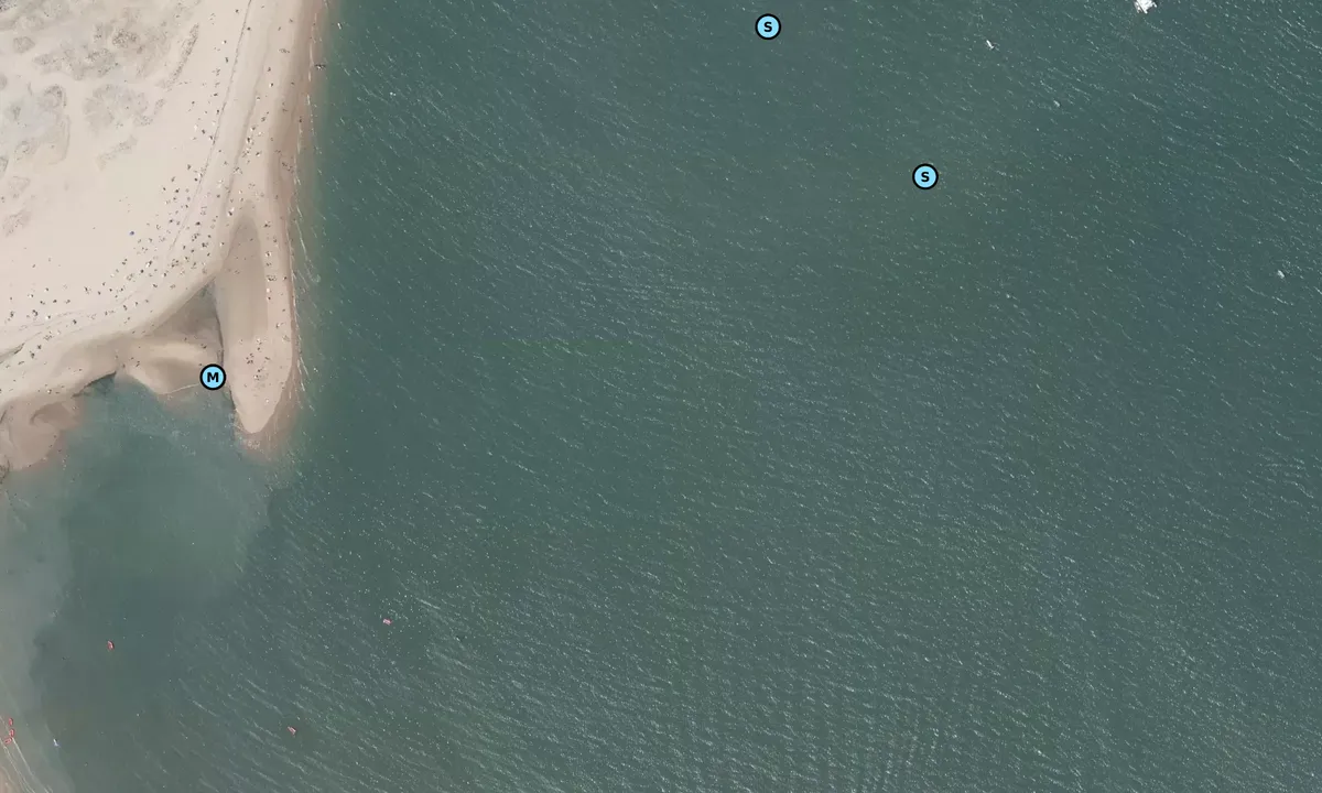 Satelite image of Anse du Cavalier - Pointe de Boyardville