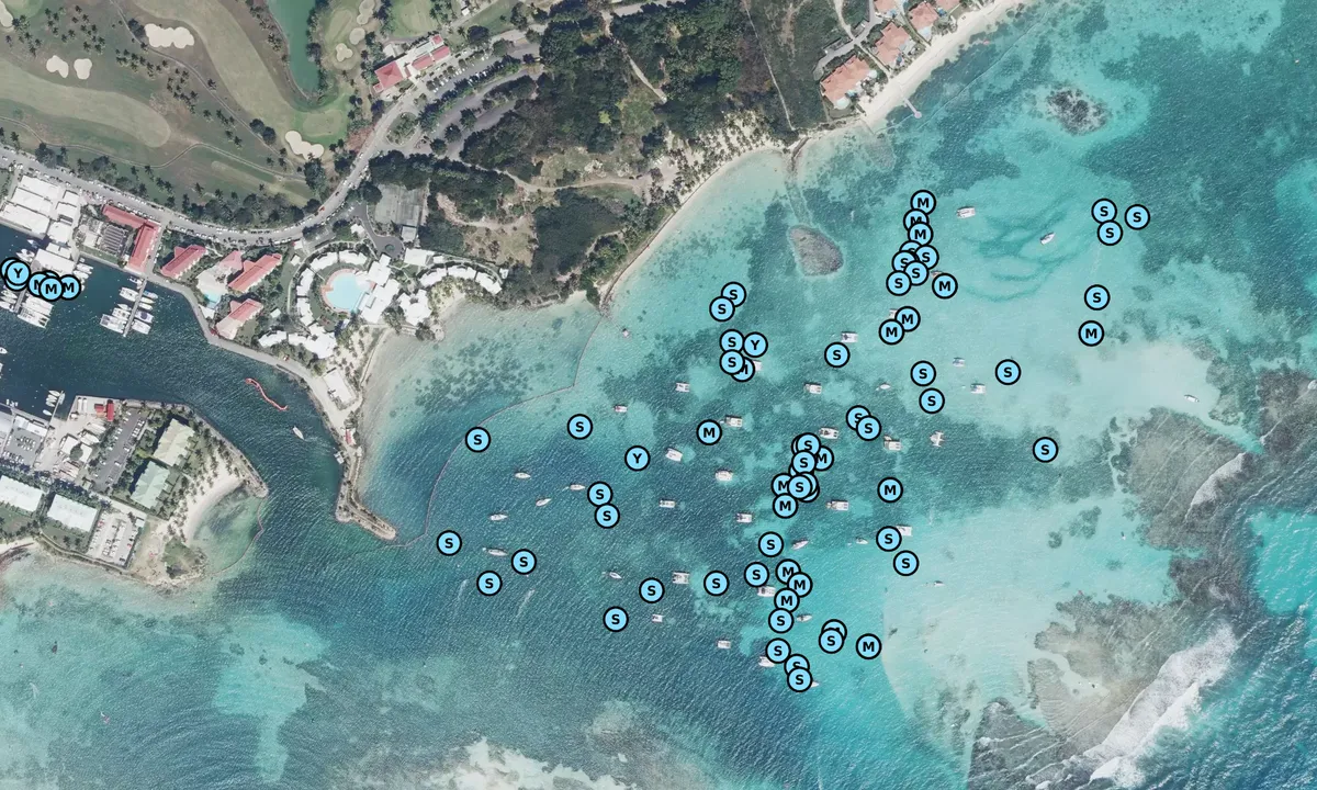 Satelite image of Anse du Mancenillier