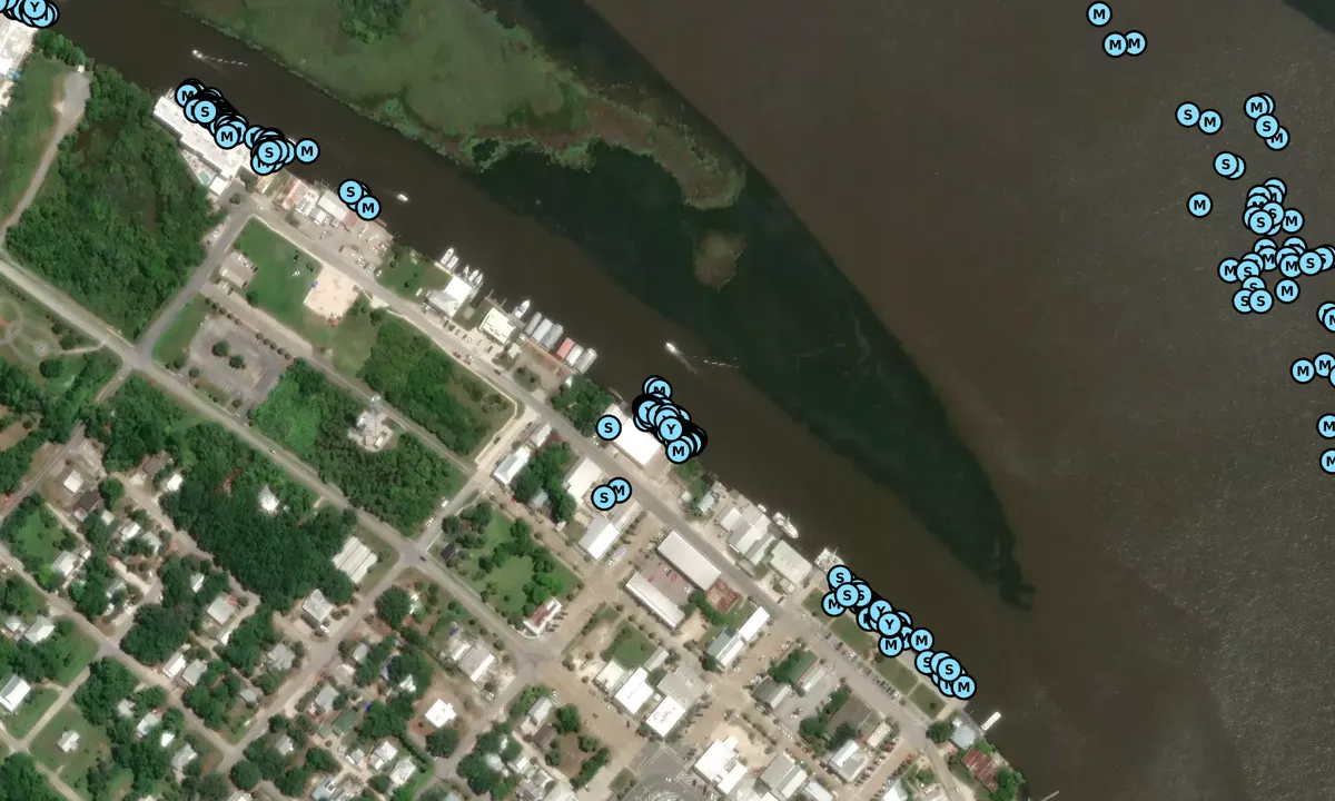 Satelite image of Apalachicola Marina - Face Dock