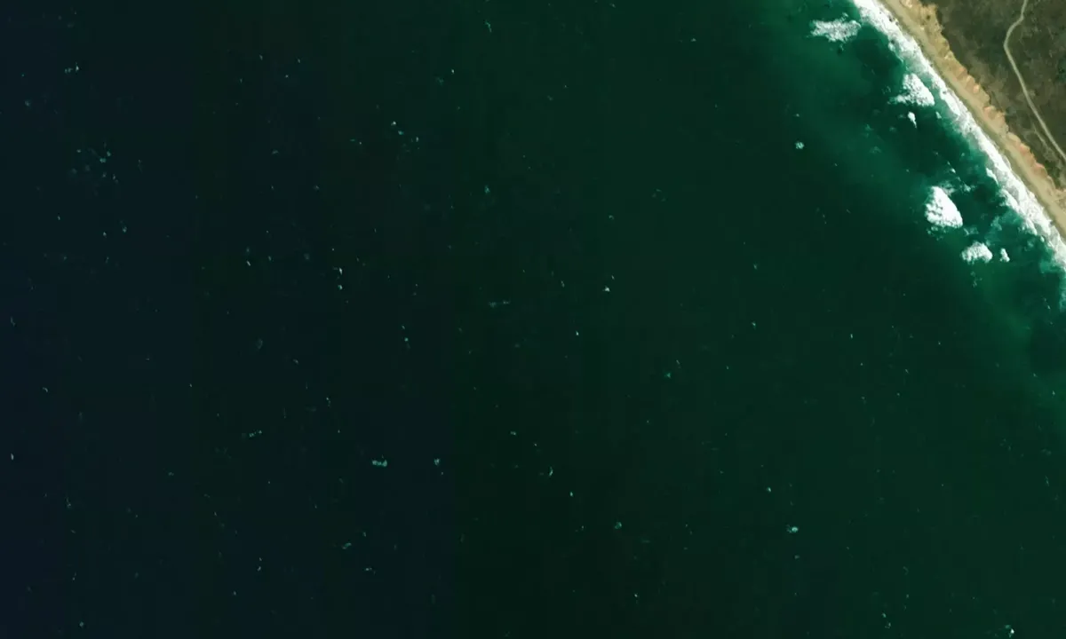 Flyfoto av Aquinnah