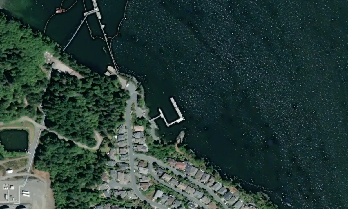 Flyfoto av Arbutus Ridge Marina