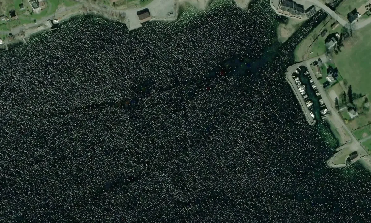 Satelite image of Årdal