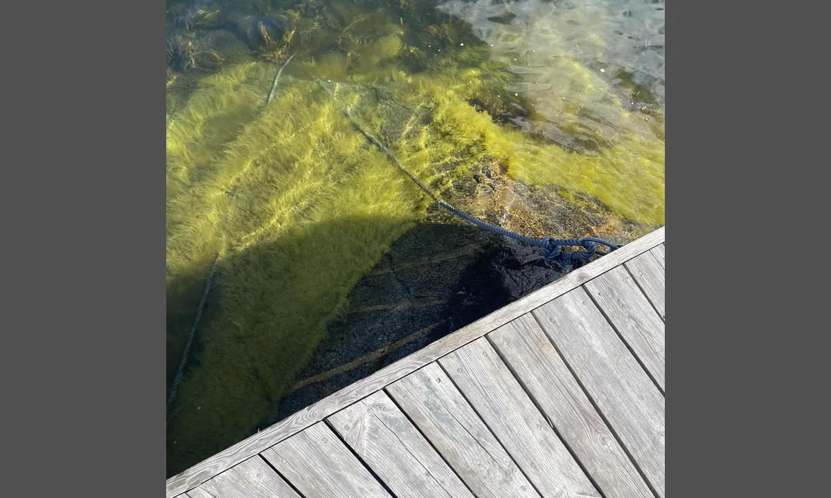 Arholma - Skvallerhamnen: {"base": "en", "no": "V\u00e6r oppmerksom p\u00e5 steiner n\u00e6r bryggen", "se": "Var uppm\u00e4rksam p\u00e5 stenar n\u00e4ra piren", "en": "Be aware of rocks near the pier", "da": "V\u00e6r opm\u00e6rksom p\u00e5 sten n\u00e6r molen", "fr": "Faites attention aux rochers pr\u00e8s de la jet\u00e9e", "de": "Achten Sie auf Felsen in der N\u00e4he des Piers", "es": "Tenga cuidado con las rocas cerca del muelle", "it": "Attenzione alle rocce vicino al molo", "pt": "Esteja atento \u00e0s rochas pr\u00f3ximas ao cais", "nl": "Wees op uw hoede voor rotsen nabij de steiger", "pl": "Uwa\u017caj na ska\u0142y w pobli\u017cu mola", "uk": "\u0411\u0443\u0434\u044c\u0442\u0435 \u0443\u0432\u0430\u0436\u043d\u0456 \u0434\u043e \u043a\u0430\u043c\u0456\u043d\u043d\u044f \u0431\u0456\u043b\u044f \u043f\u0440\u0438\u0447\u0430\u043b\u0443", "ro": "Fi\u021bi aten\u021bi la st\u00e2ncile din apropierea digului", "tr": "\u0130skele yak\u0131nlar\u0131ndaki kayalara dikkat edin", "el": "\u03a0\u03c1\u03bf\u03c3\u03ad\u03be\u03c4\u03b5 \u03c4\u03bf\u03c5\u03c2 \u03b2\u03c1\u03ac\u03c7\u03bf\u03c5\u03c2 \u03ba\u03bf\u03bd\u03c4\u03ac \u03c3\u03c4\u03b7\u03bd \u03c0\u03c1\u03bf\u03b2\u03bb\u03ae\u03c4\u03b1", "cs": "Dejte pozor na sk\u00e1ly pobl\u00ed\u017e molu", "hu": "Figyeljen a m\u00f3l\u00f3 k\u00f6zel\u00e9ben l\u00e9v\u0151 k\u00f6vekre", "fi": "Ole tietoinen laiturin l\u00e4heisyydess\u00e4 olevista kivist\u00e4", "bg": "\u0412\u043d\u0438\u043c\u0430\u0432\u0430\u0439\u0442\u0435 \u0437\u0430 \u0441\u043a\u0430\u043b\u0438 \u0431\u043b\u0438\u0437\u043e \u0434\u043e \u043a\u0435\u0439\u0430", "sr": "Pazite na stene u blizini mola", "et": "Ole teadlik kaljudest kai l\u00e4hedal", "lv": "Esiet uzman\u012bgi ar akme\u0146iem pie piest\u0101tnes", "lt": "B\u016bkite atsarg\u016bs d\u0117l akmen\u0173 prie prieplaukos"}