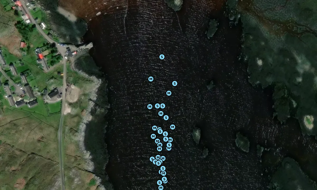 Satelite image of Arinagour Coll